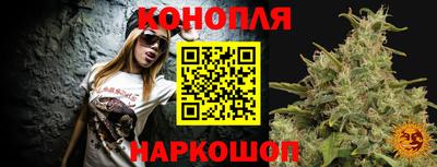 гидра Можга
