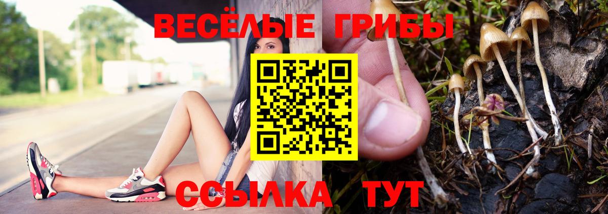 Псилоцибиновые грибы GOLDEN TEACHER  Вход с VPN  Верхняя Салда 
